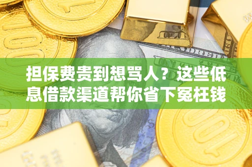 北京担保费贵到想骂人？这些低息借款渠道帮你省下冤枉钱