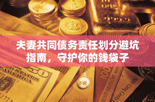 北京夫妻共同债务责任划分避坑指南，守护你的钱袋子