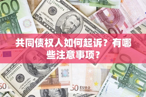 北京共同债权人如何起诉？有哪些注意事项？