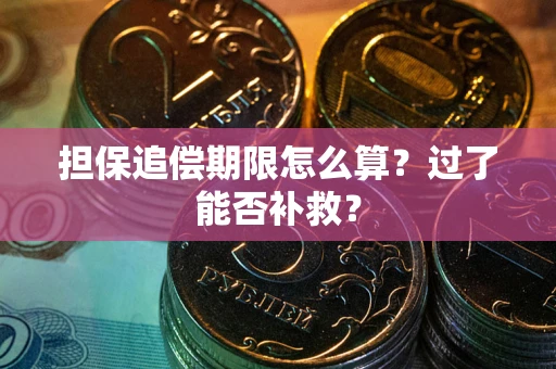 北京担保追偿期限怎么算？过了能否补救？